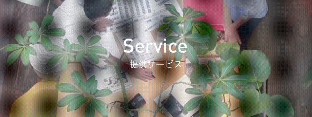 Service提供サービス